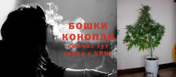 амф Няндома