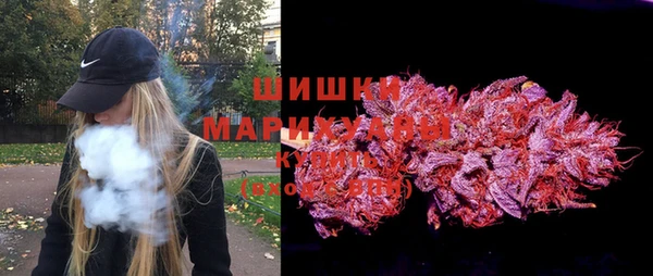 амф Няндома