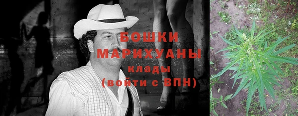 амф Няндома