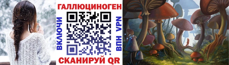 Галлюциногенные грибы Psilocybine cubensis  хочу   Красный Кут 